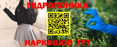 спиды Краснознаменск