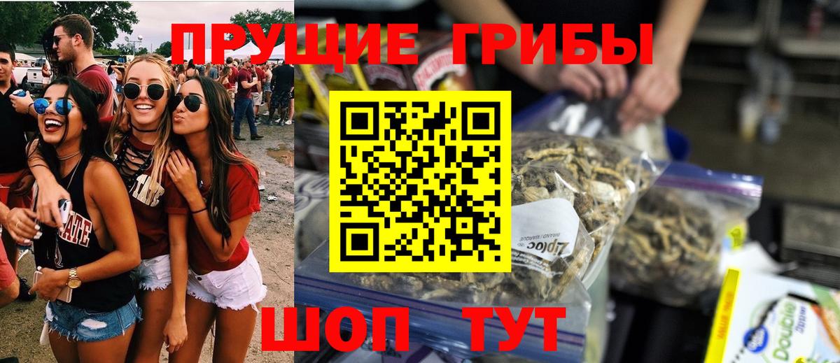 Галлюциногенные грибы мицелий Донской