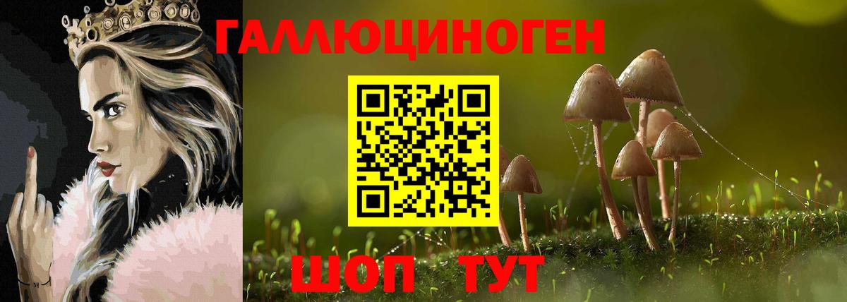 Донской  Галлюциногенные грибы GOLDEN TEACHER  Вход с VPN 